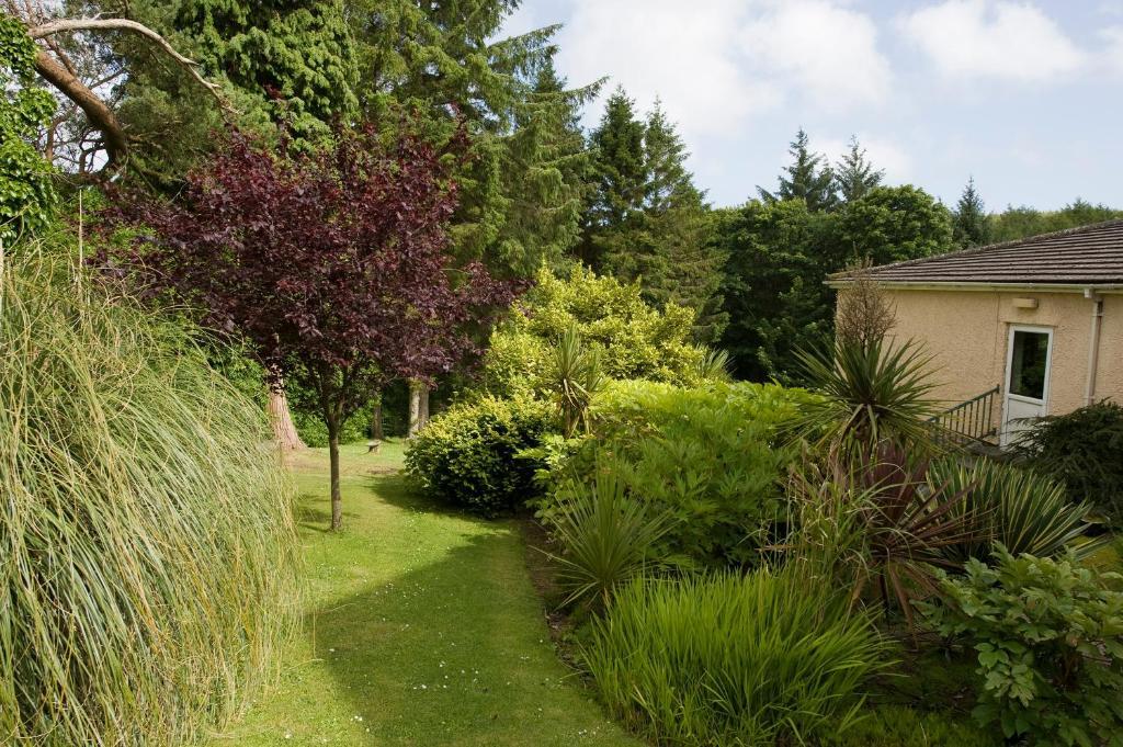 Cwmwennol Country House Saundersfoot Ngoại thất bức ảnh