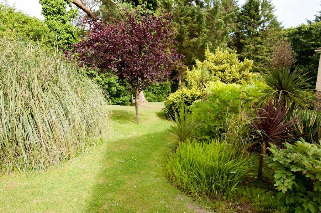 Cwmwennol Country House Saundersfoot Ngoại thất bức ảnh