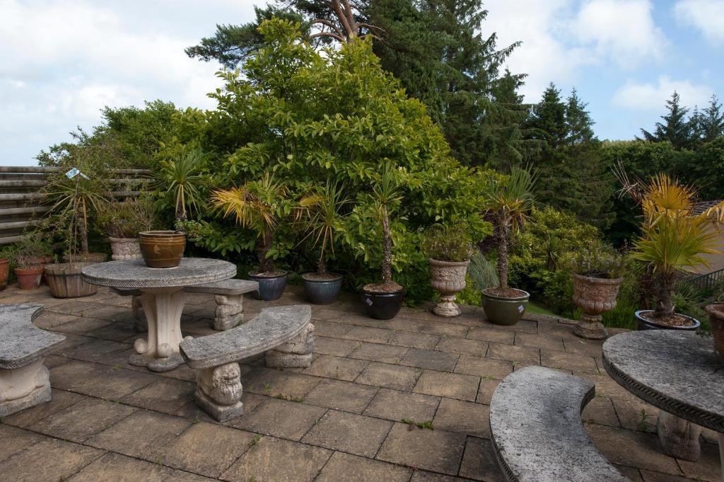 Cwmwennol Country House Saundersfoot Ngoại thất bức ảnh